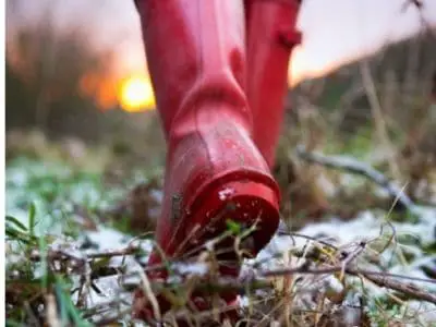 Best wellington boots for walking