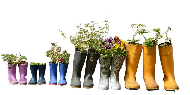 Rubber boots ca be repurposed as plant pots