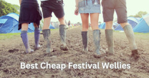 Best Cheap Festival Wellies