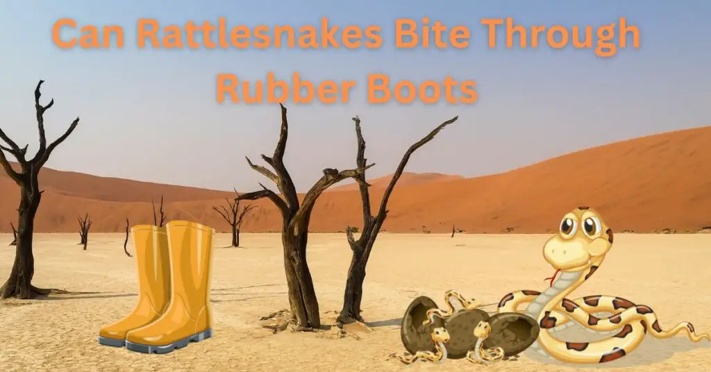 Can Rattlesnakes Bite Through Rubber Boots