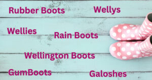 Names for wellington boots