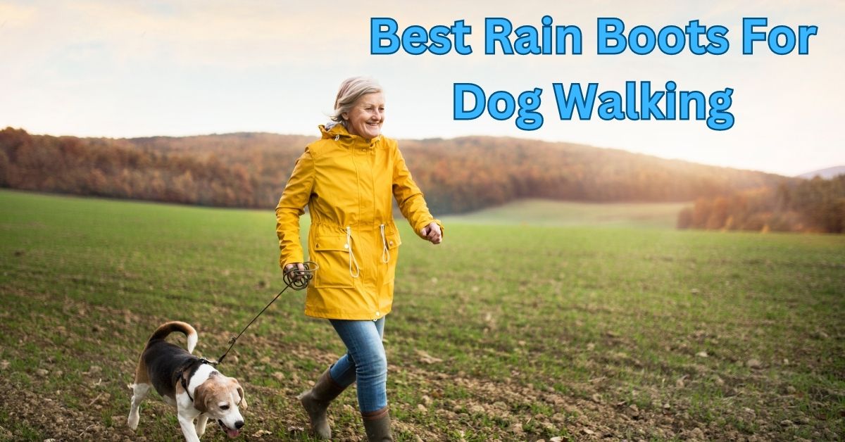 Best Rain Boots For Dog Walking